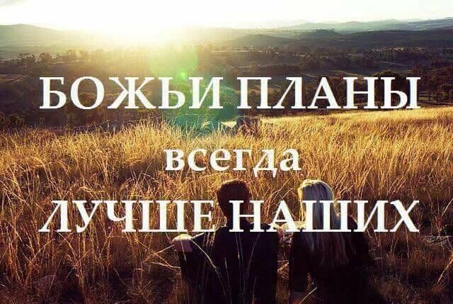 Из открытых источников Яндекса.