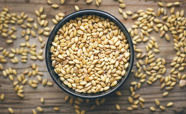 Фото:. freepik.com