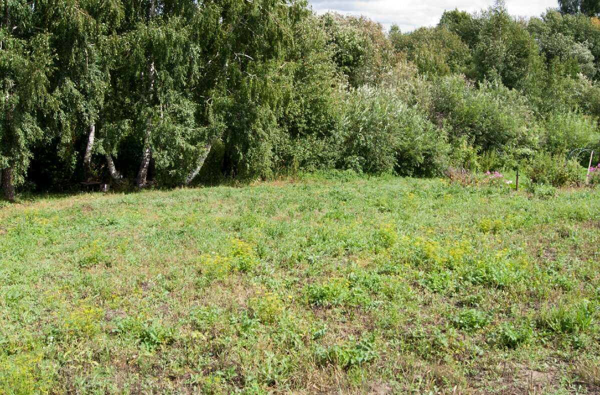 Начало начал 