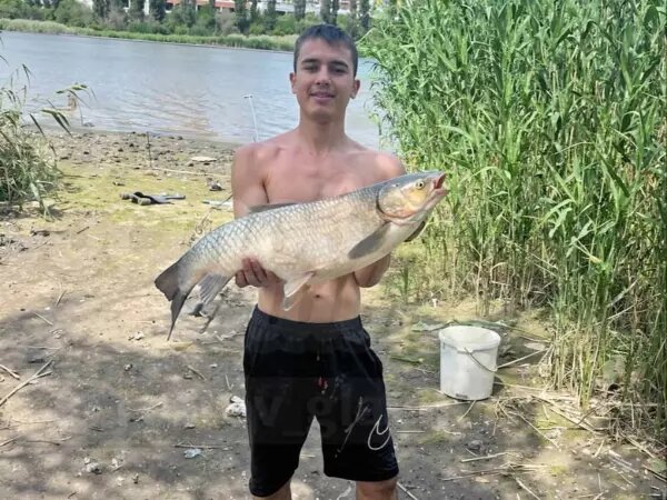    Фото: соцсети Веселовские вести