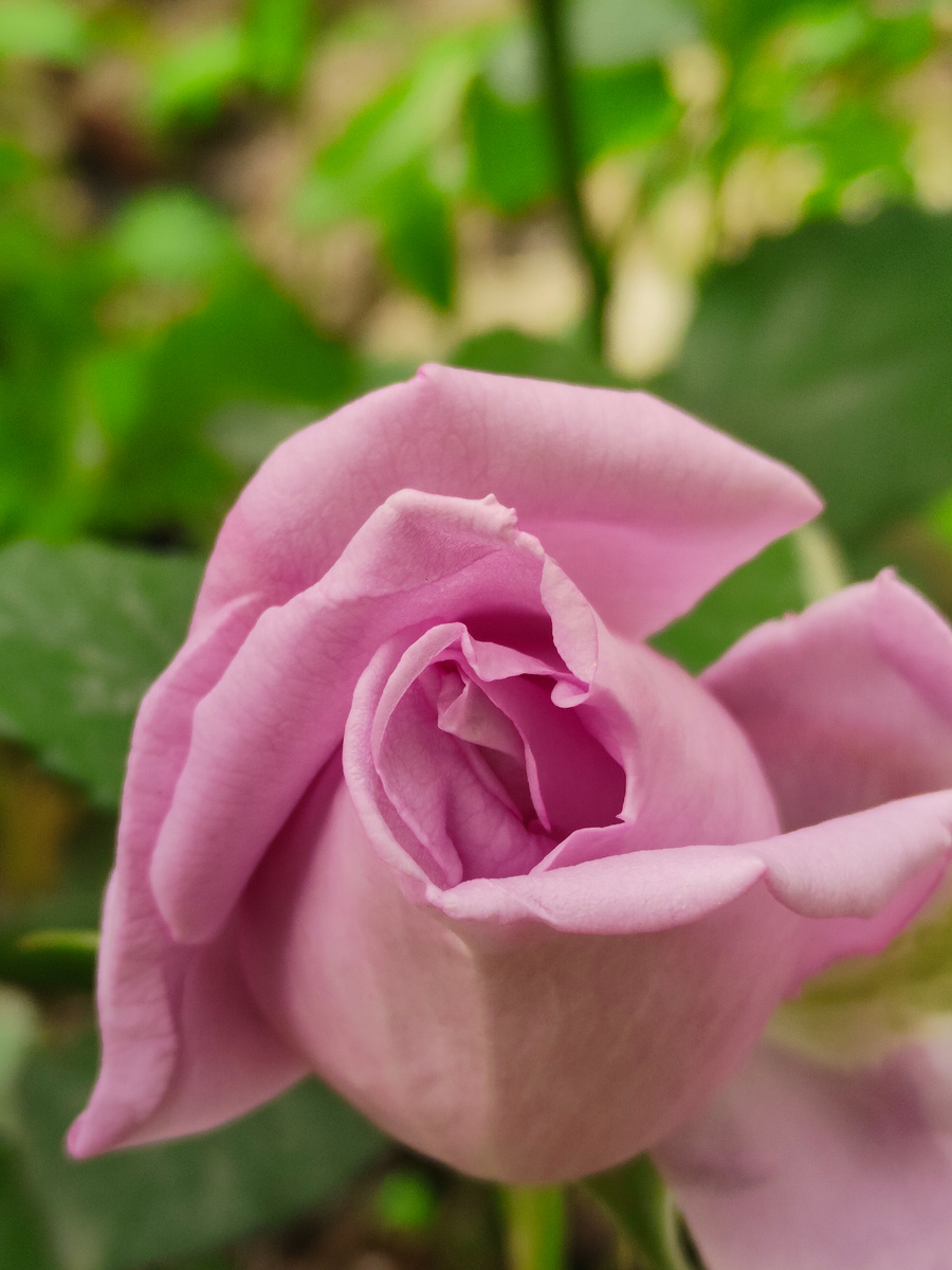 Эйфелева башня