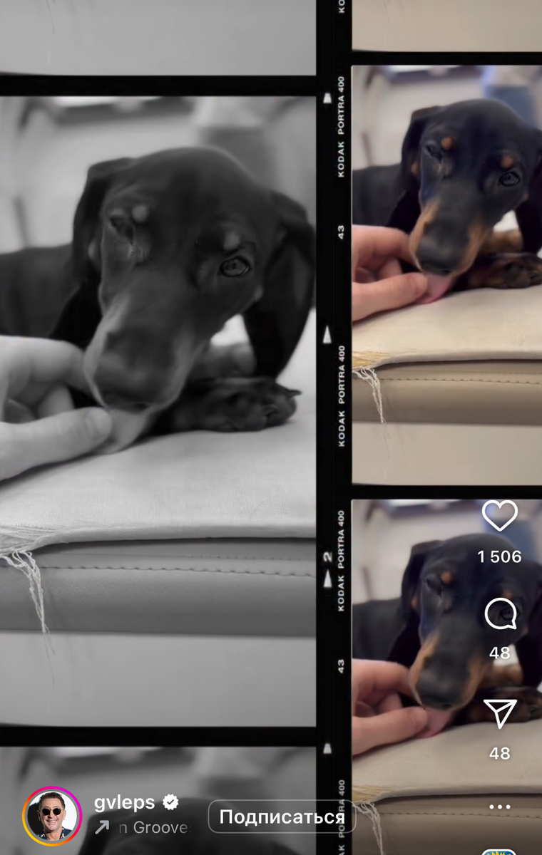 Новый любимец Григория Лепса