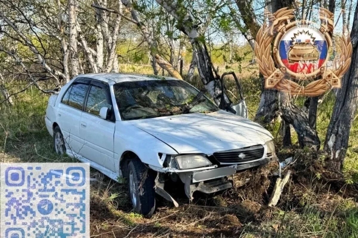    На Камчатке выпившая девушка заснула за рулем и съехала в кювет