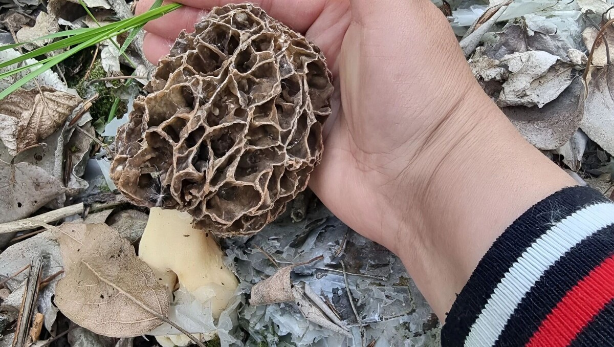     Источник: transsibinfo.com