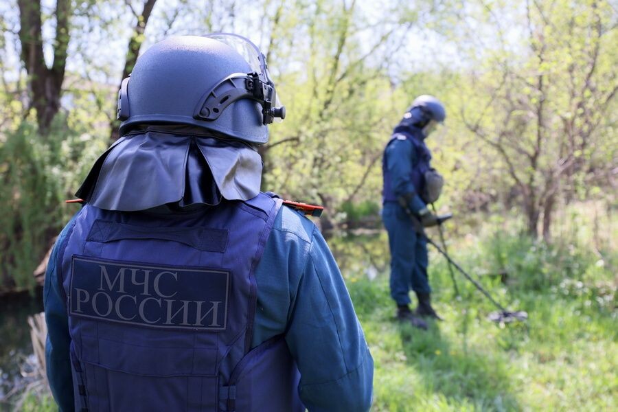     / Источник: © Александр Река/ТАСС