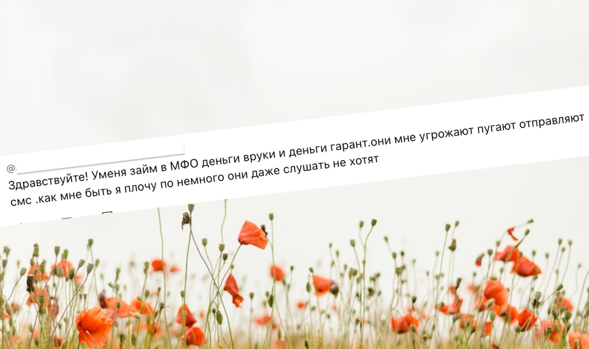 Отвечаю на вопросы в комментариях, бесплатно.