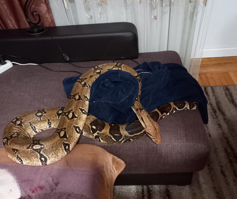    Фото: Служба спасения Новороссийска