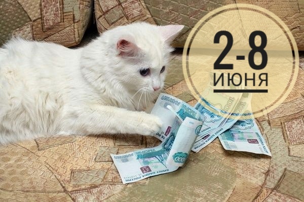 Финансовый гороскоп на неделю: все любят котиков