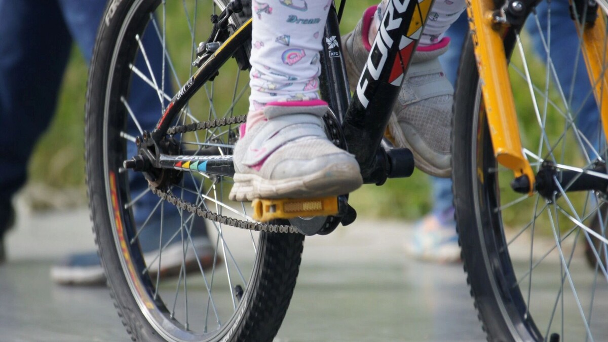     Источник: 1MI