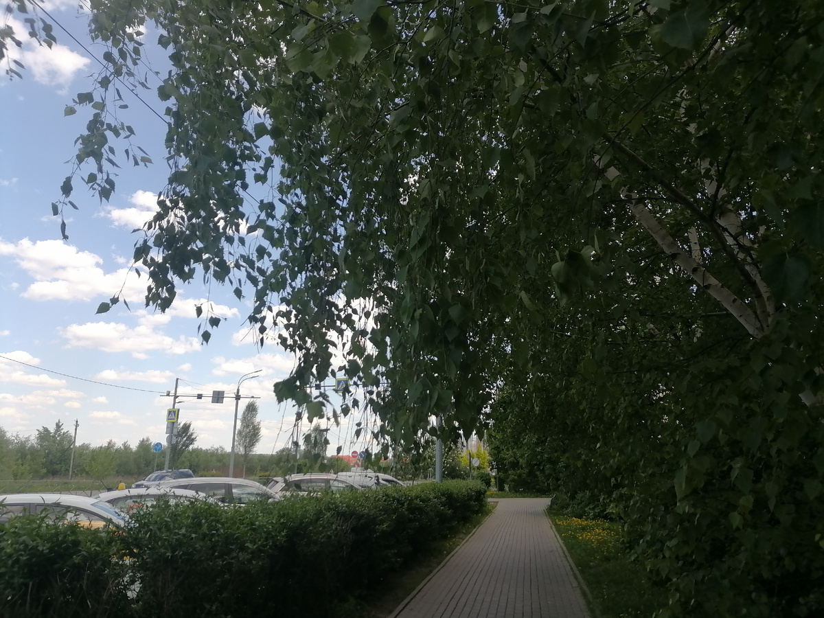 Для обложки 