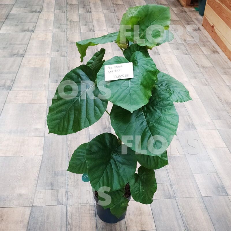 Не такой, как все.