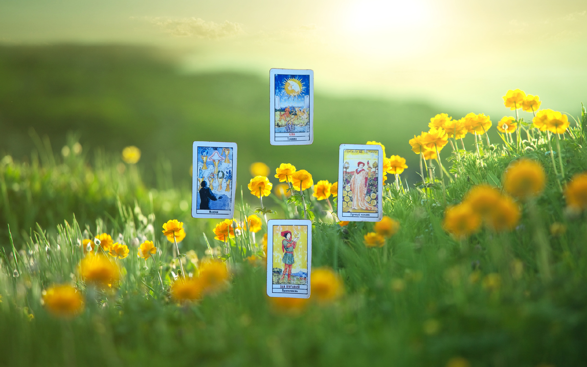 Переходим к описанию!