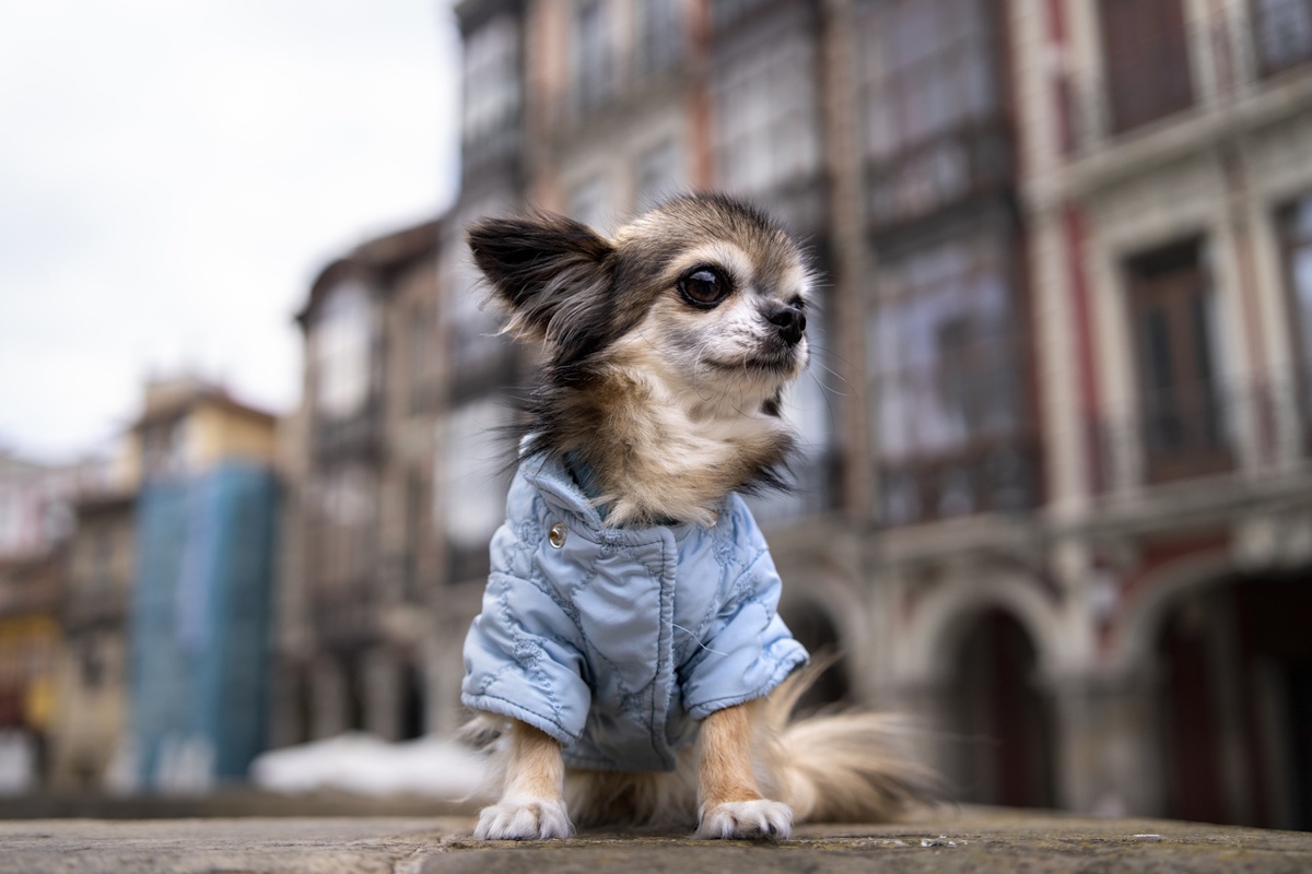 Фото: Freepik.com