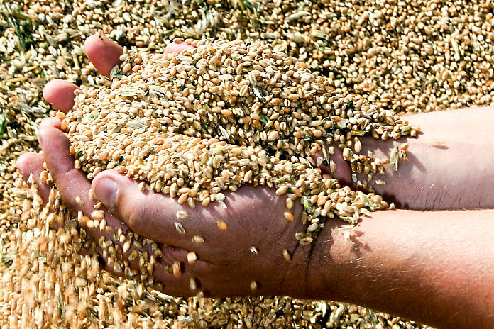    Фото из архива «Континента Сибирь»