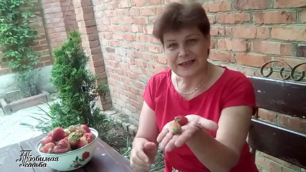 В начале июня я варю клубничное варенье из ягод своего урожая.