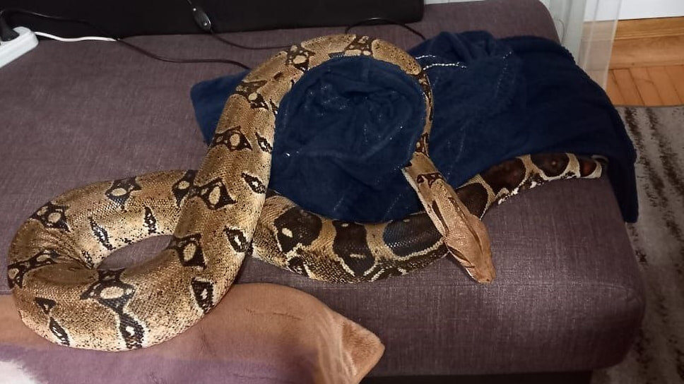 Фото: Telegram-канал Алексея Одерова