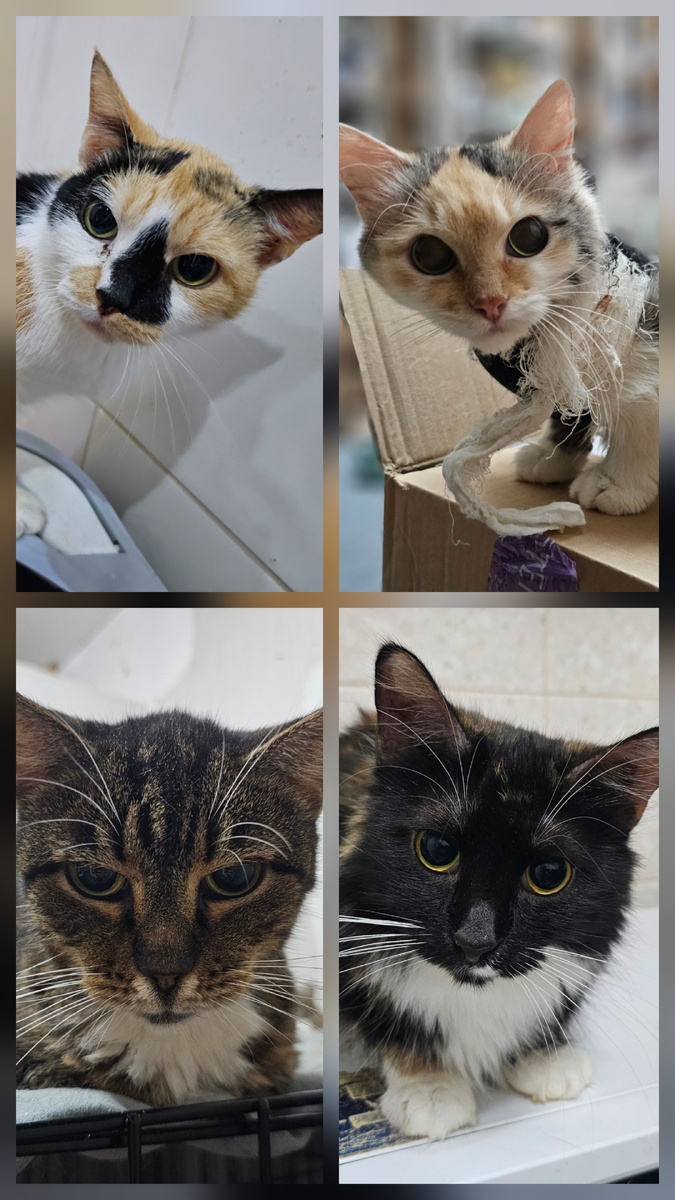 Фото автора. Ребята заболевшие фипом.