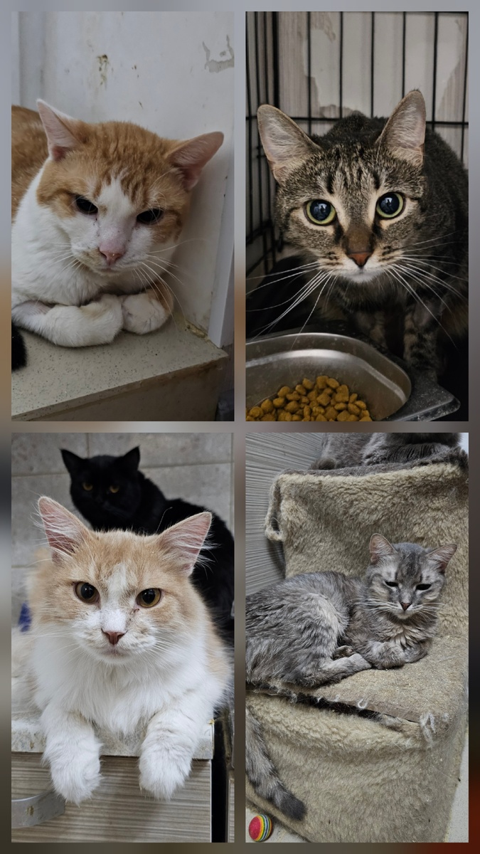 Фото автора. Ребята заболевшие фипом.