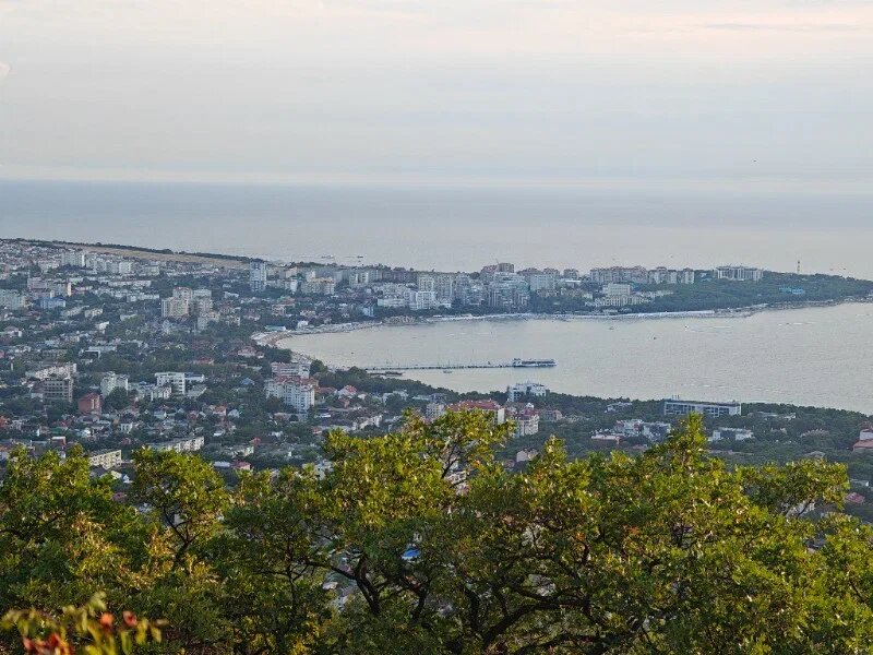    Фото: Юрий Серебренников/BFM Кубань