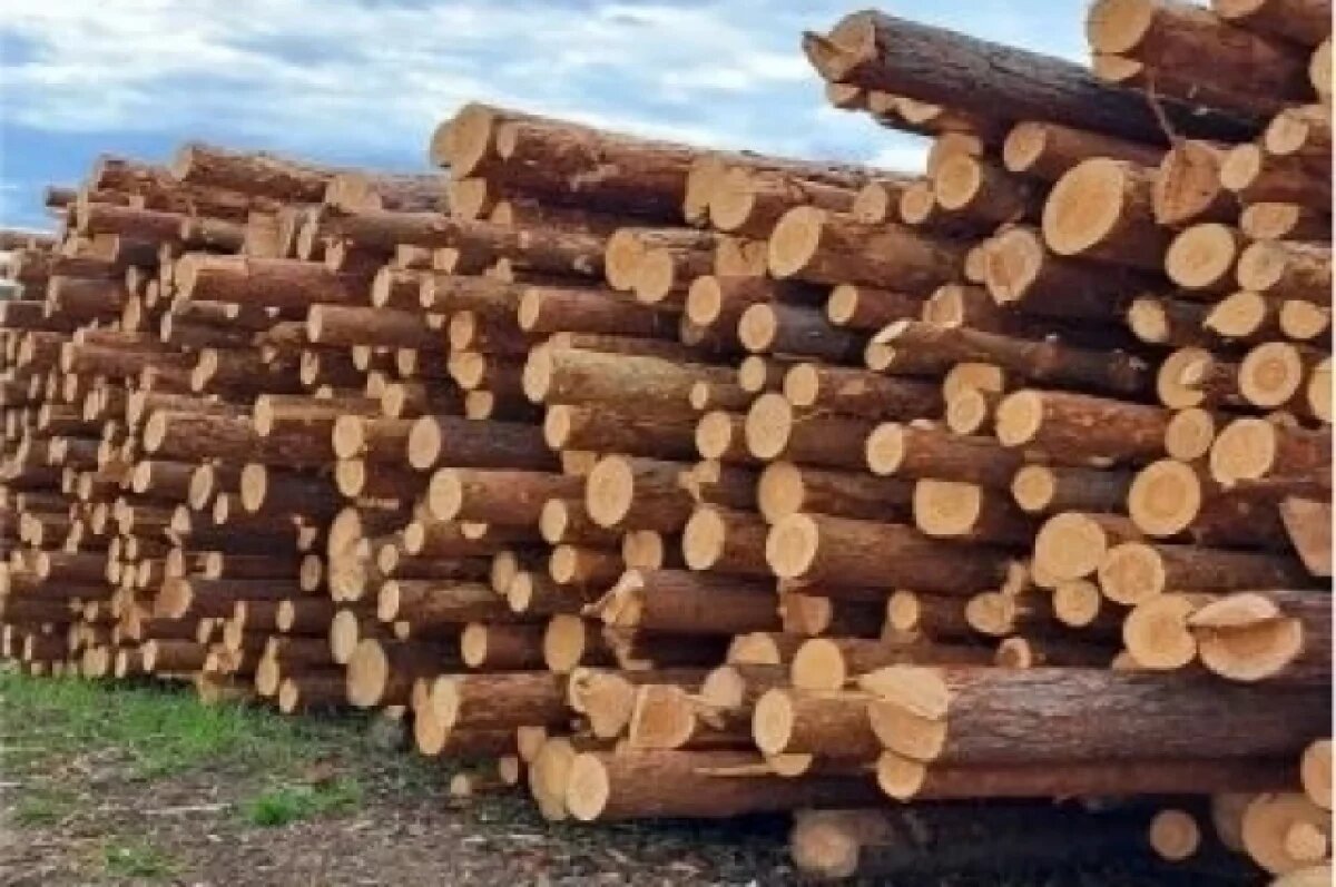    За год объёмы отправки лесопродукции из Удмуртии в регионы выросли на 11 %