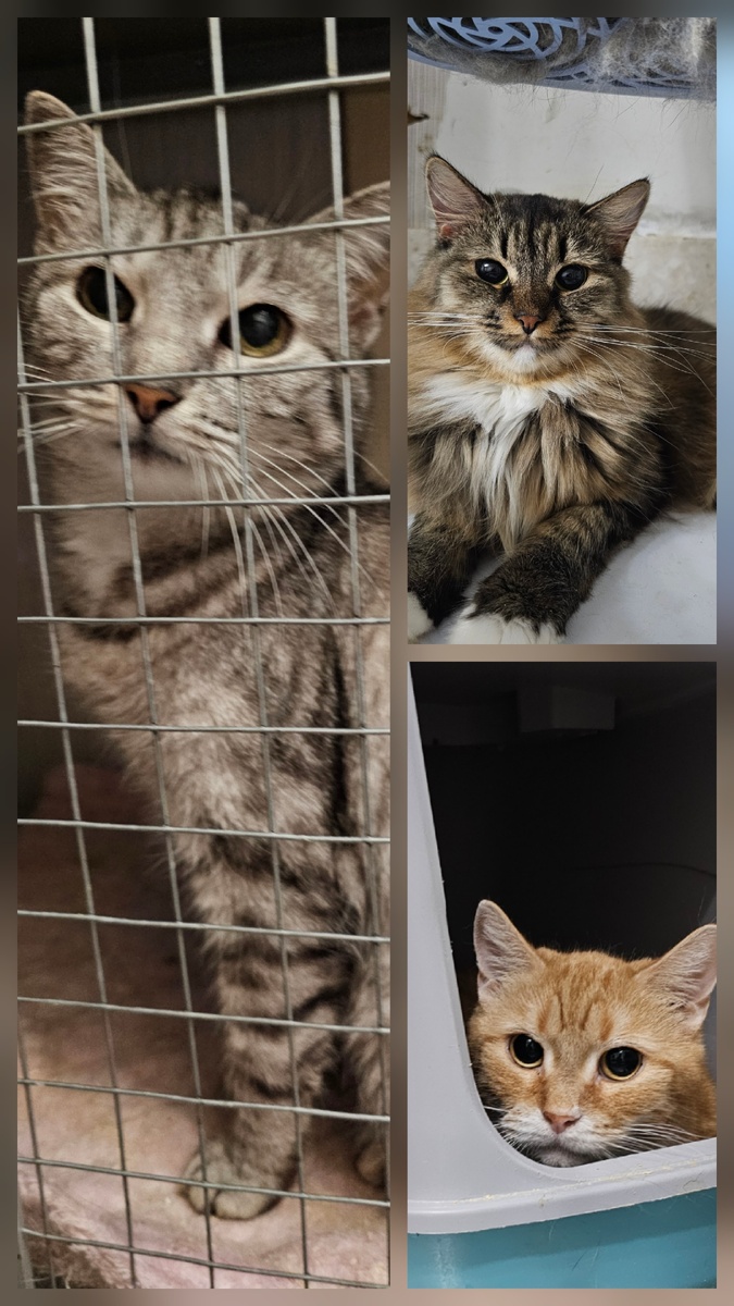 Фото автора. Ребята заболевшие фипом.