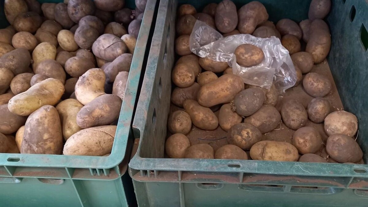     Источник: newstracker.ru