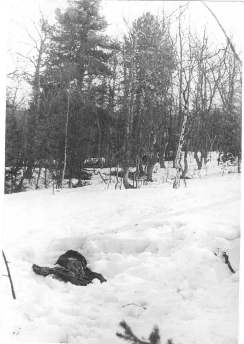 Фото 1  Брюки и веточки на снегу