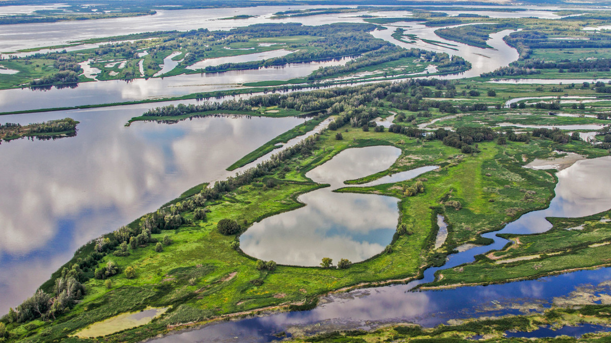 Разнообразие водяных угодий. Фото: Дмитрий Чадаев, участник конкурса РГО «Самая красивая страна
