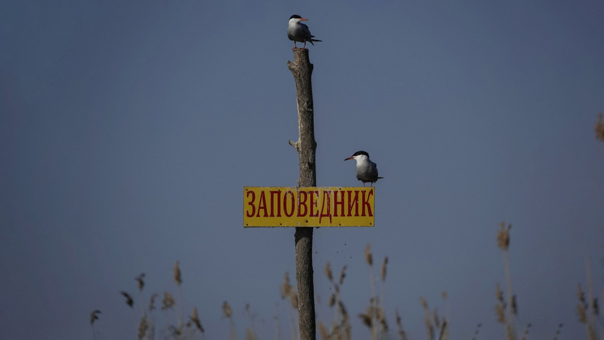 Фото: Анна Лукьянчикова, участник конкурса РГО «Самая красивая страна»