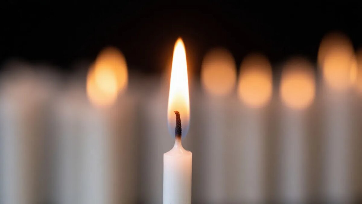    Сгенерировано ИИ