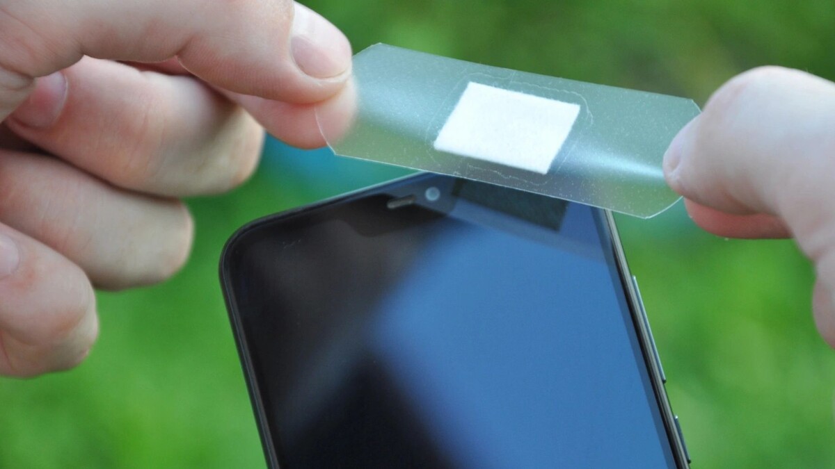    Фото: MaXX12/Shutterstock/Fotodom