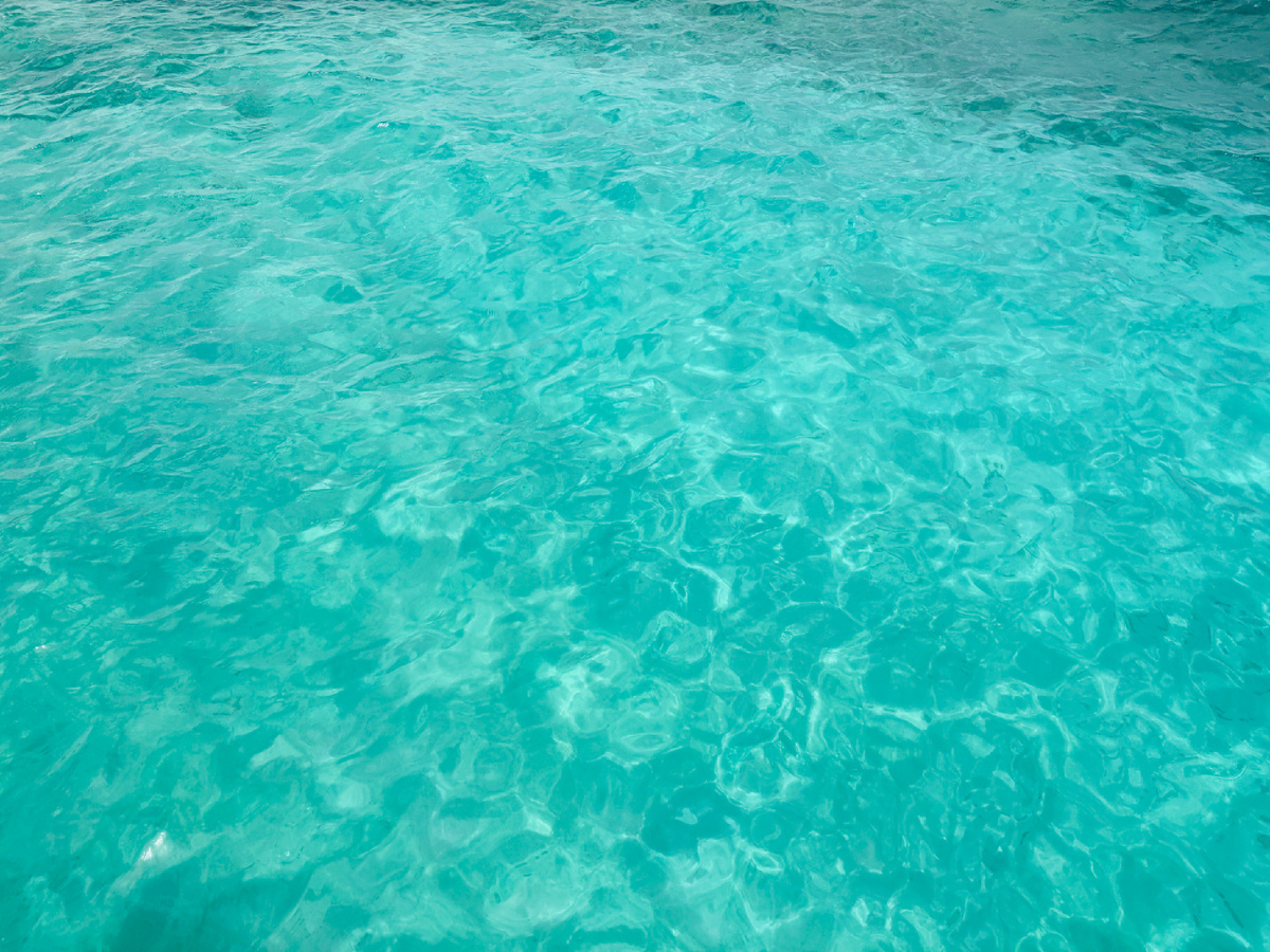 Фото из личного архива