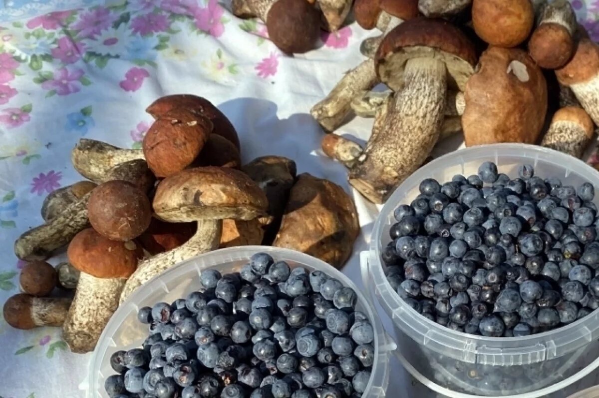    Новый цех переработки грибов и ягод появился на севере Красноярского края