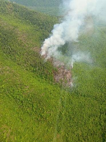    Источник фото: t.me/sikhote_aline