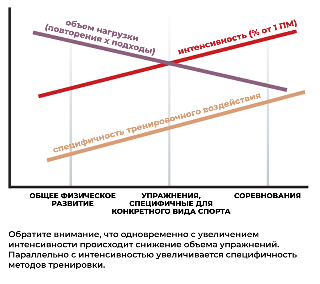 Линейная (традиционная) модель периодизации