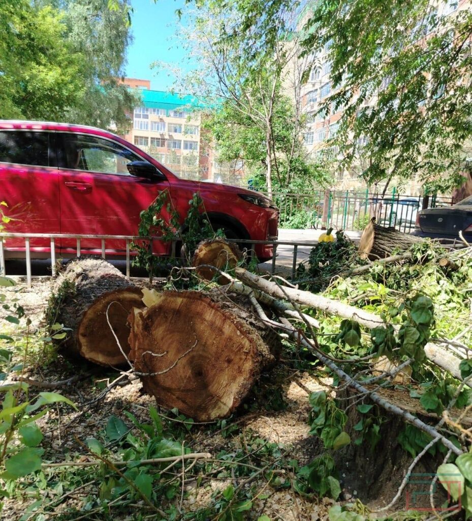 Фото Евгении Черноусовой, «РТ»