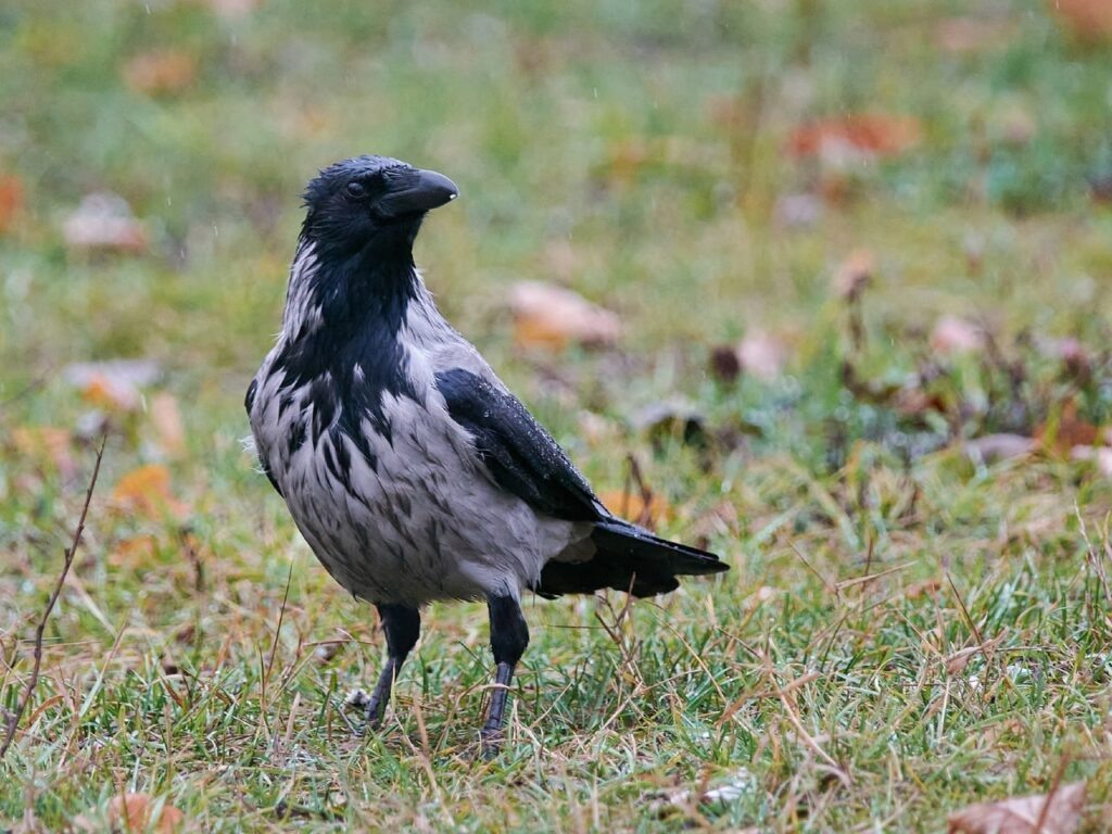 Фото со страницы в соцсетях Сергея Неклюдова