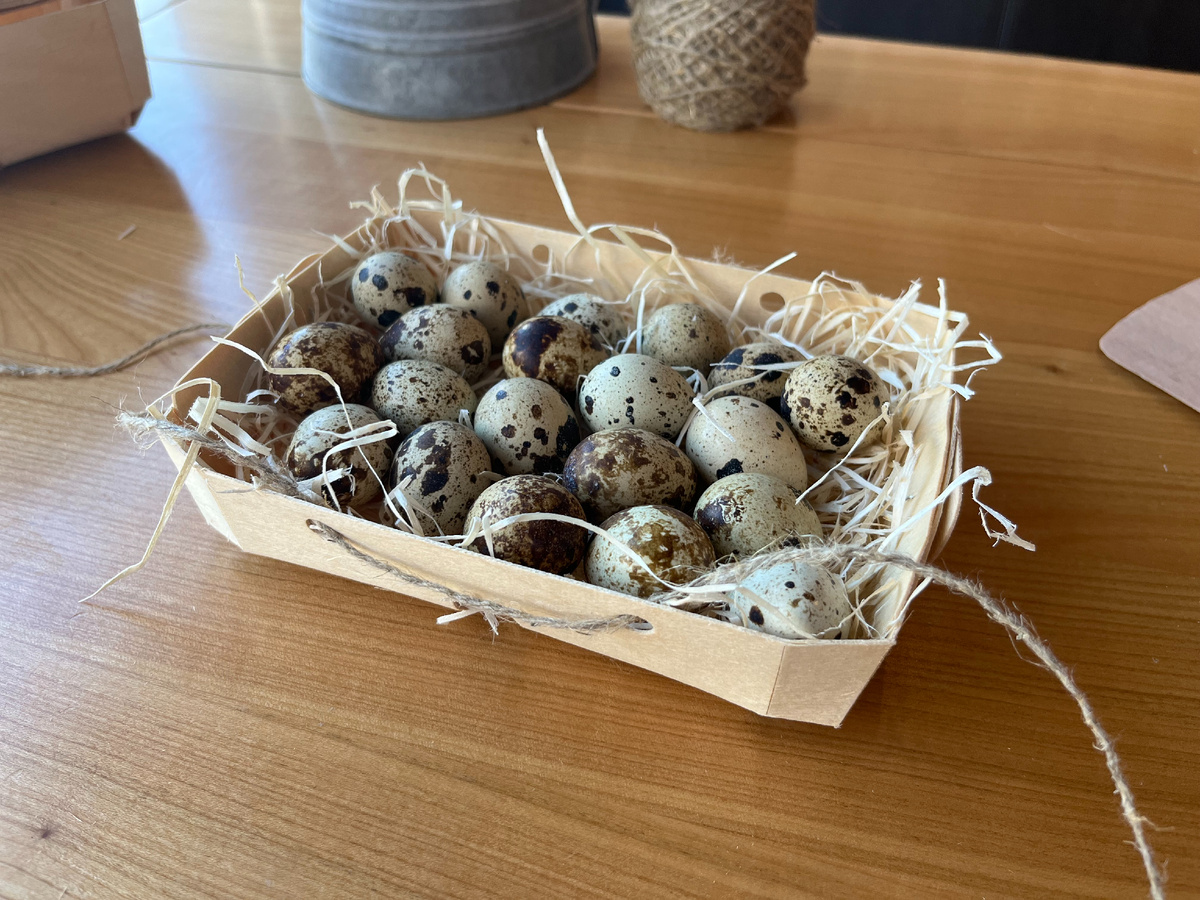 Мини-лоток под перепелиные яйца — выглядит как пасхальный сувенир, а не просто тара.
⠀
Береста + наполнитель + шнур — всё просто, но работает на эмоцию.

