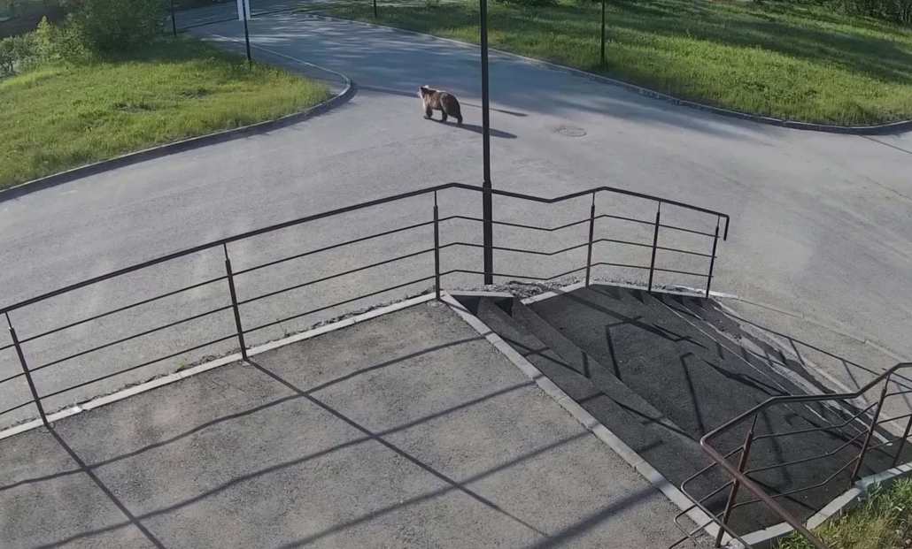    Скриншот видео ПНИПУ