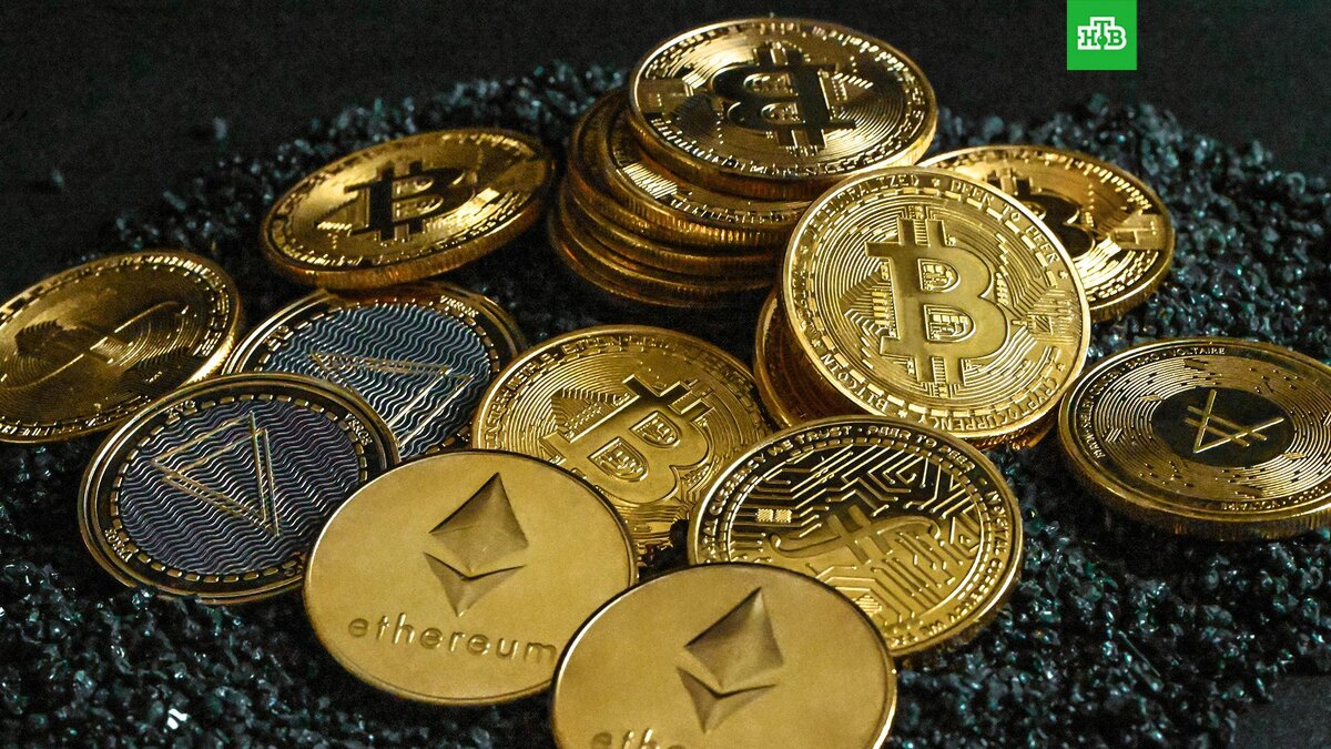    Фото: Traxer / unsplash.com