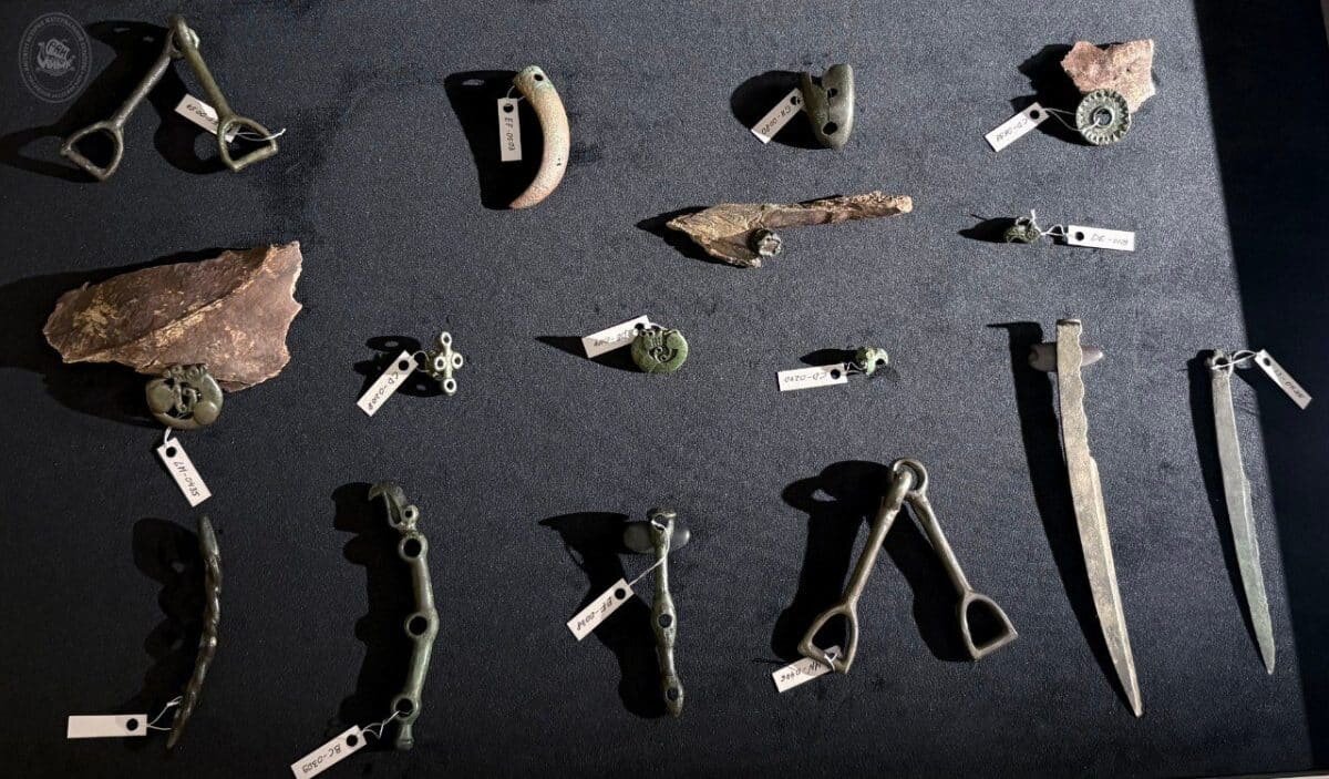    Предметы конского снаряжения. Туннуг-1 / © Тимур Садыков, Пресс-служба ИИМК РАН