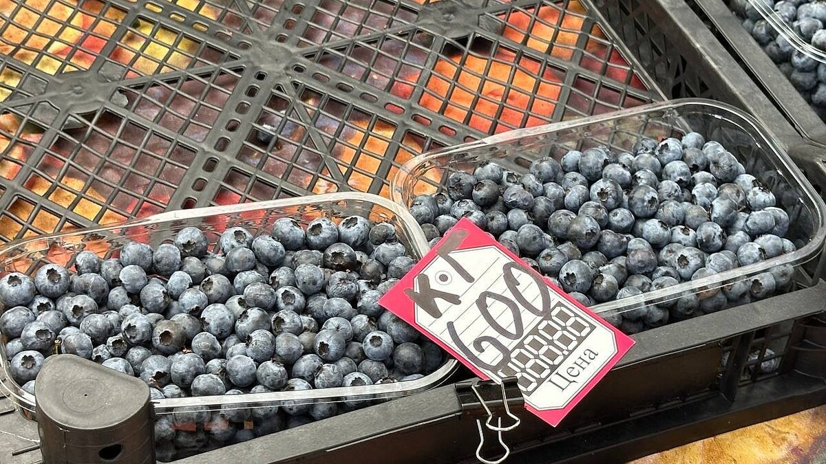    Фото: телеканал «Краснодар»