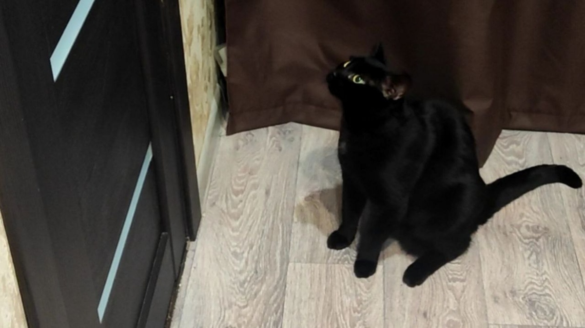 Ты не представляешь, что я тебе скажу!! Только открой!