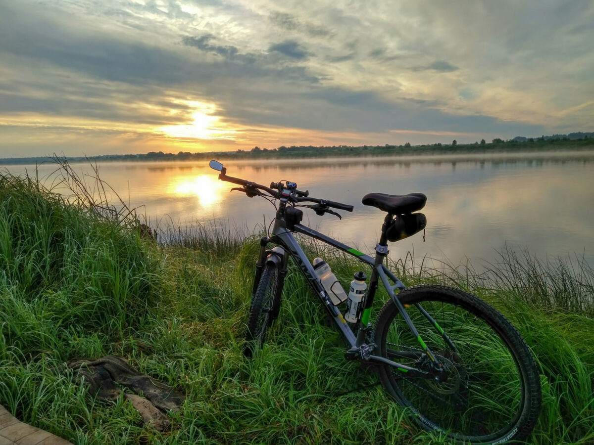 Фото: сайт https://vbor.ru
