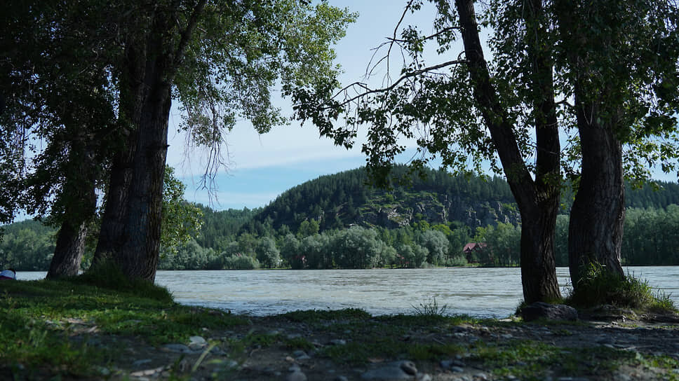 Фото: Елизавета Устьянцева / Коммерсантъ