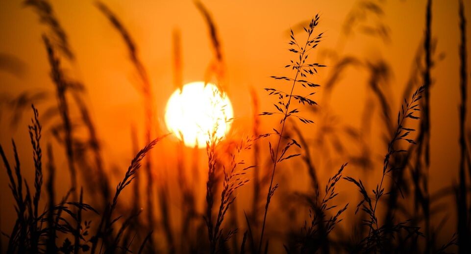    Julian Stratenschulte/dpa / www.globallookpress.com