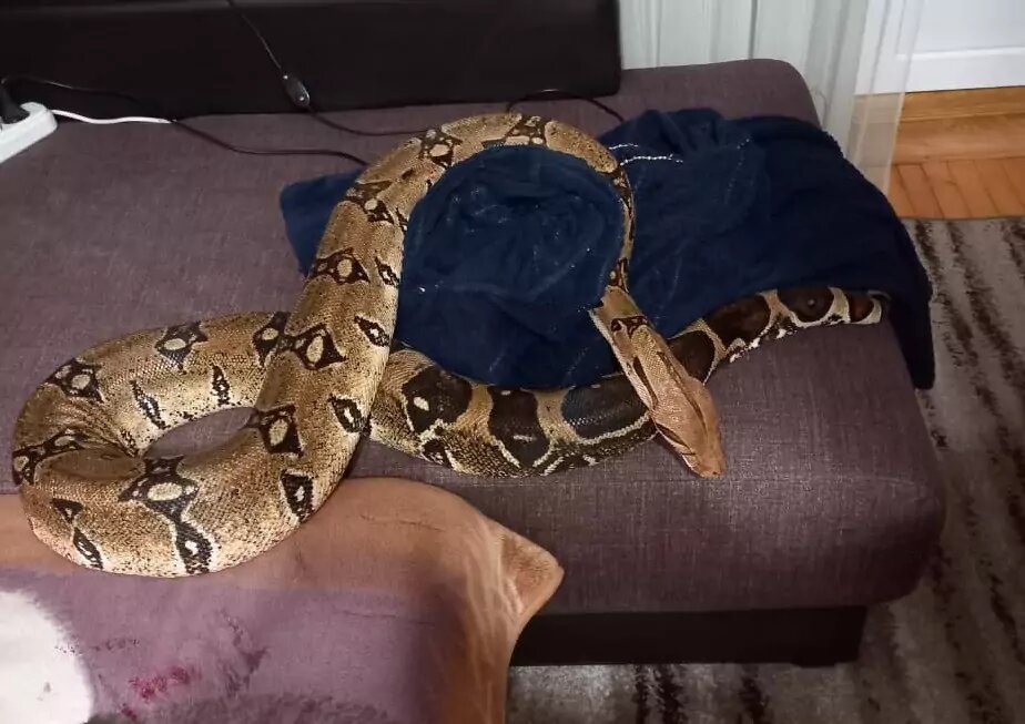 Фото и видео: Алексей Одеров
