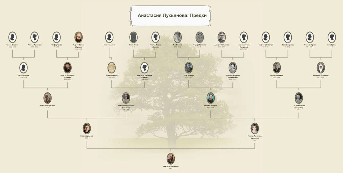 Старый скриншот части моего древа в MyHeritage