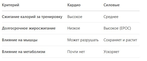 Сравнение кардио и силовых тренировок