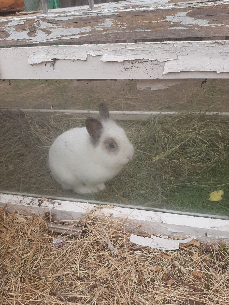 Если вы похожи на Степашку, значит пора в отпуск